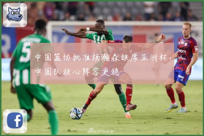 中国篮协批准杨瀚森缺席亚洲杯，中国队核心阵容更稳